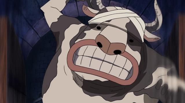 海贼王奎恩果实可能觉醒将依靠强大的身体和大妈进行拉锯战