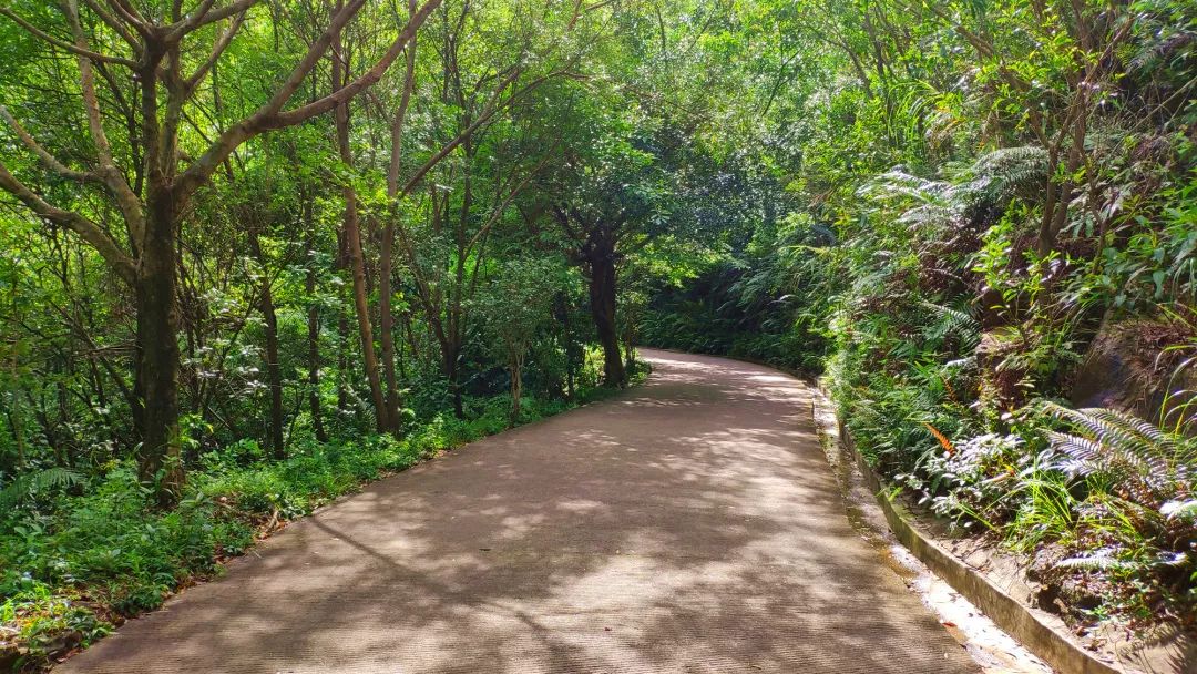 夏日遊恩平鰲峰公園 丨生態旅遊,紅色文化,休閒鍛鍊,這條路線一次性