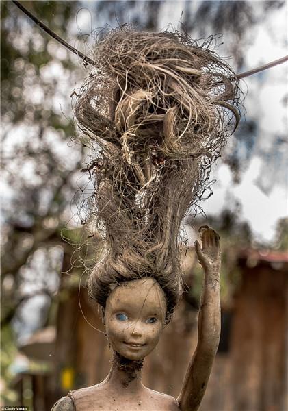 墨西哥娃娃岛恐怖图片