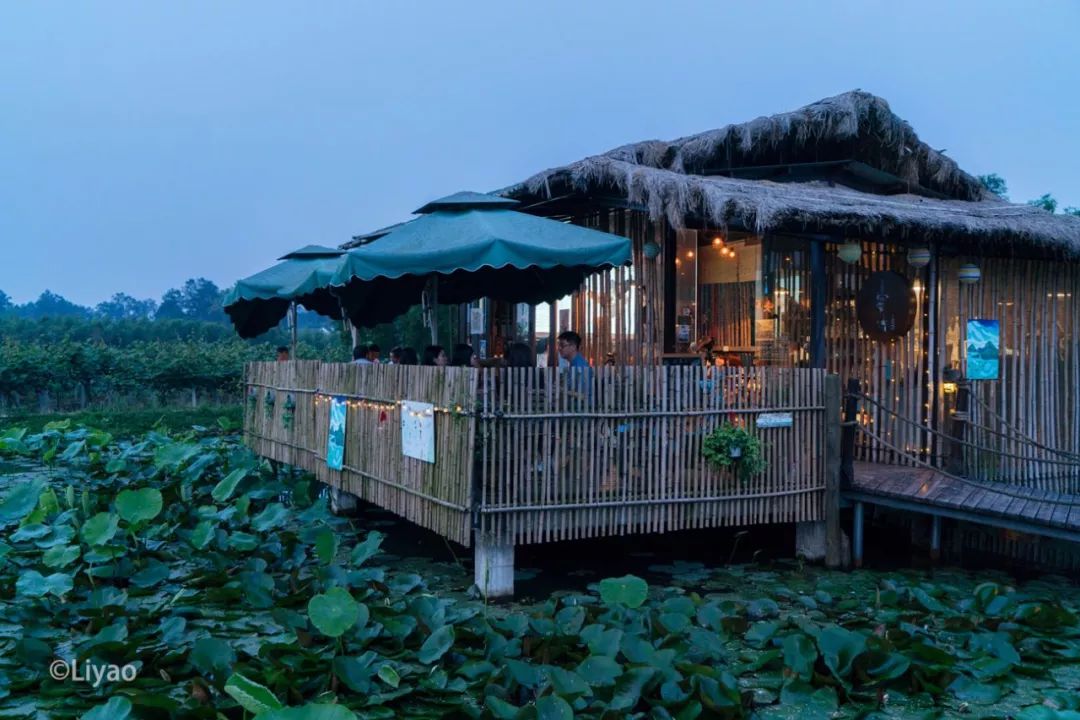 明月村新鲜的初夏