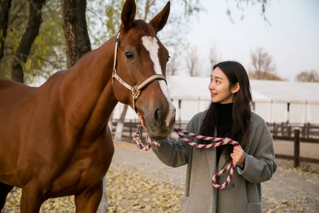 20周年特别活动丨这个暑假用和马儿的合影称霸朋友圈
