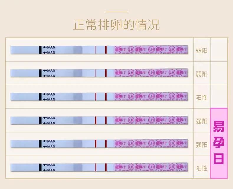 正常排卵监测表图片图片