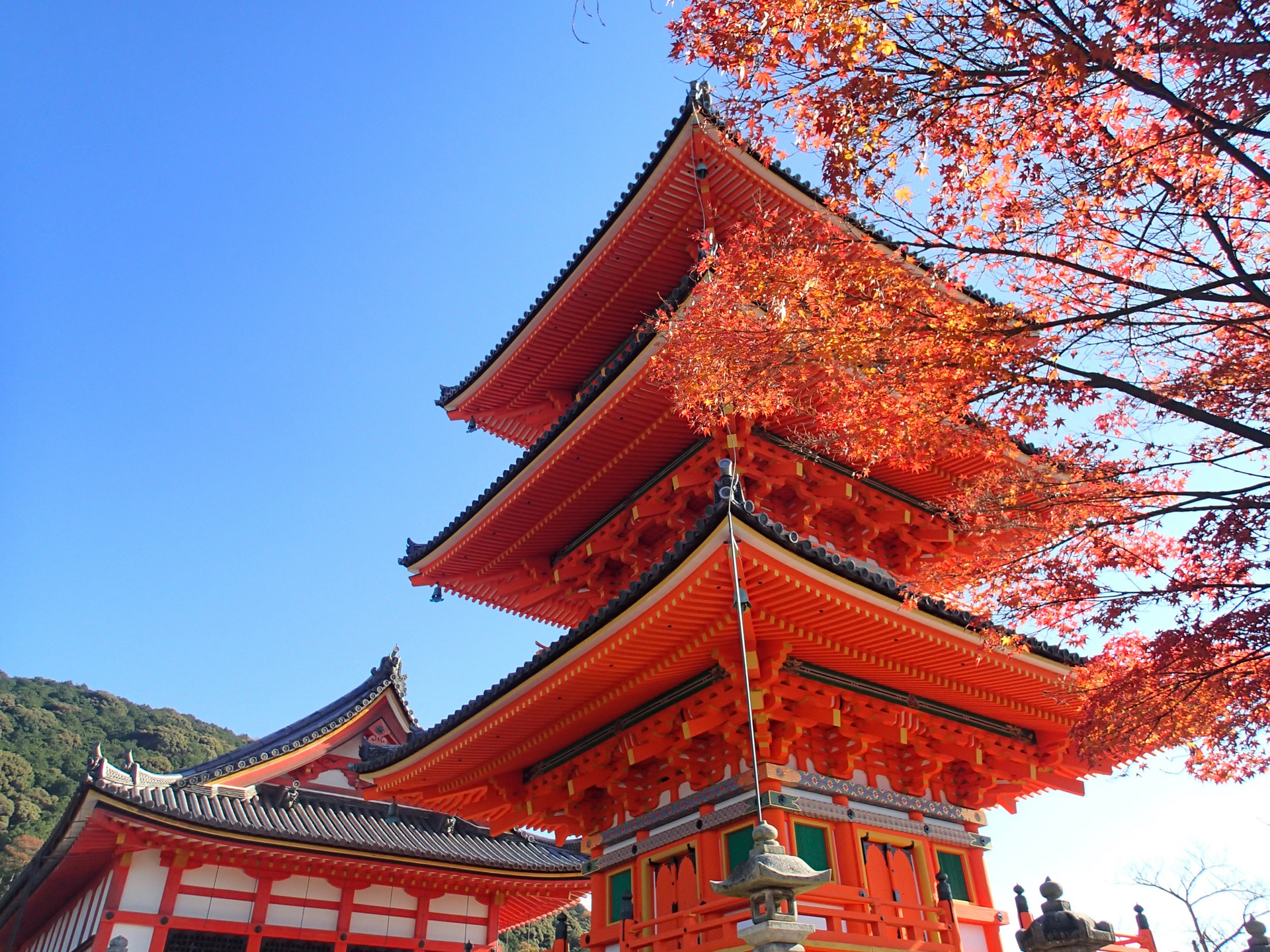 日本的千年古寺始建于唐朝 被列入世界文化遗产成旅游胜地 清水