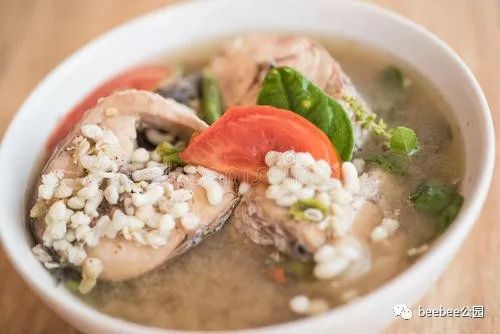 吃了一份云南蚂蚁蛋我在树上吊了一夜