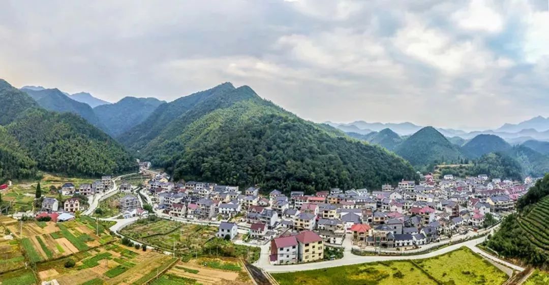 建德市洋溪街道城东村图片