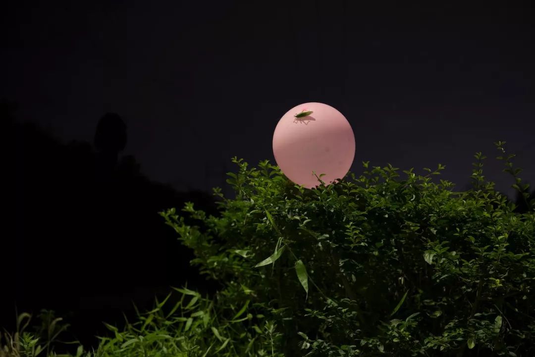 92什么时候开始《晚风》的拍摄?