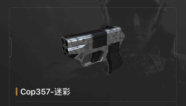 cop357青龙图片