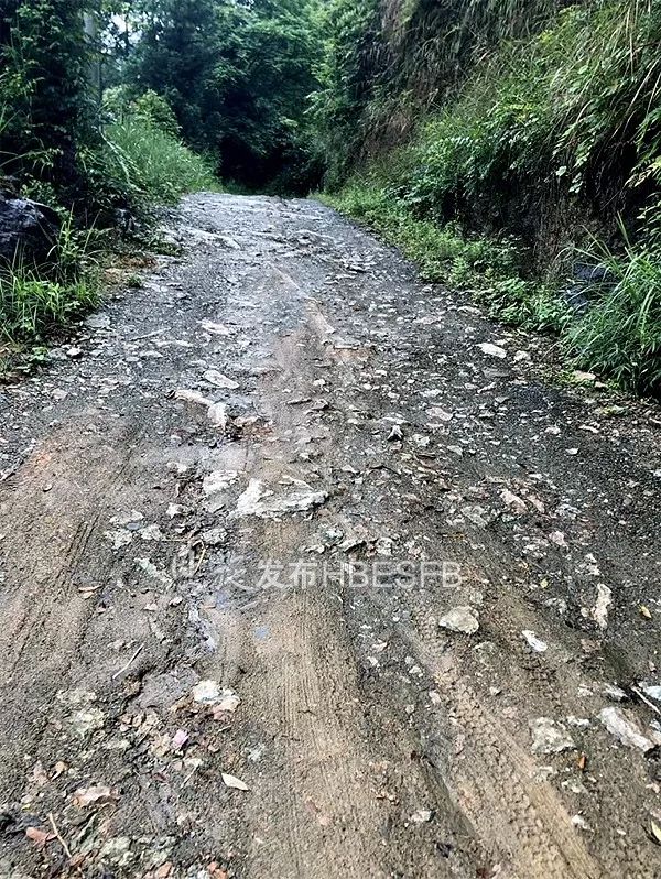 這裡是咸豐縣小村鄉中心場村七組,當地人習慣稱呼它的老地名——茶油