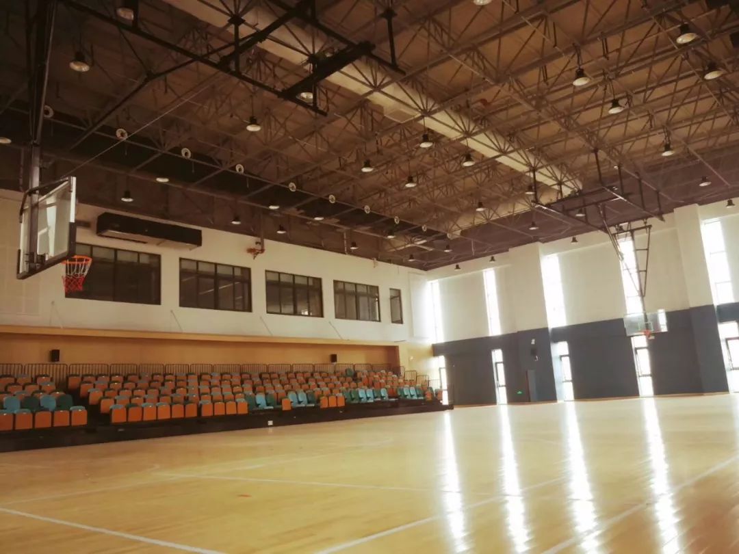 上海师范大学附属嘉善实验学校小朋友庆"六一"展风采,《浙江卫视少儿