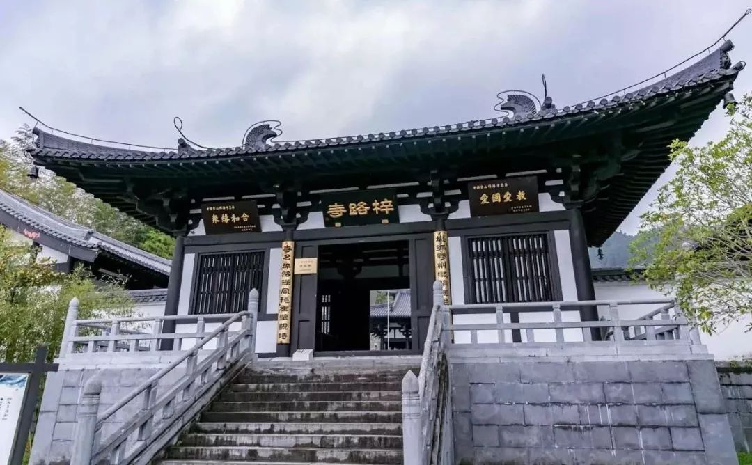 621国际瑜伽日我们相约黄山禅修止语禅坐出坡斋饭