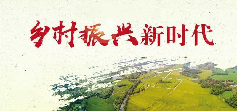 fm1006发挥特色优势高质量推动乡村振兴我市印发2019年全市实施乡村