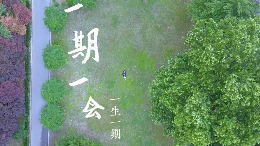 一期一会起航吧贝壳毕业季温情首发