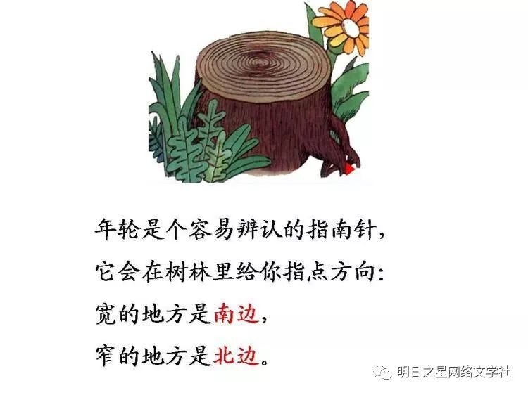 大自然有很多天然的指南针, 会帮助你辨别方向