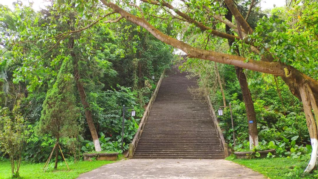 夏日游恩平鳌峰公园 丨生态旅游,红色文化,休闲锻炼,这条路线一次性