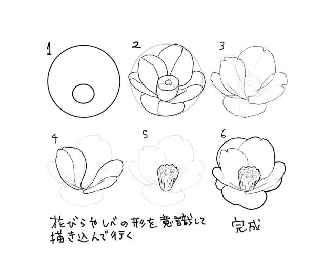 插画中的花朵怎么画教你画出最漂亮的花朵