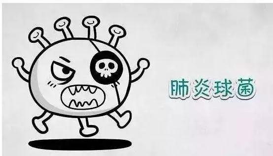 肺炎球菌(又称肺炎链球菌)广泛定植于人类鼻咽部,携带率为27%-85%.