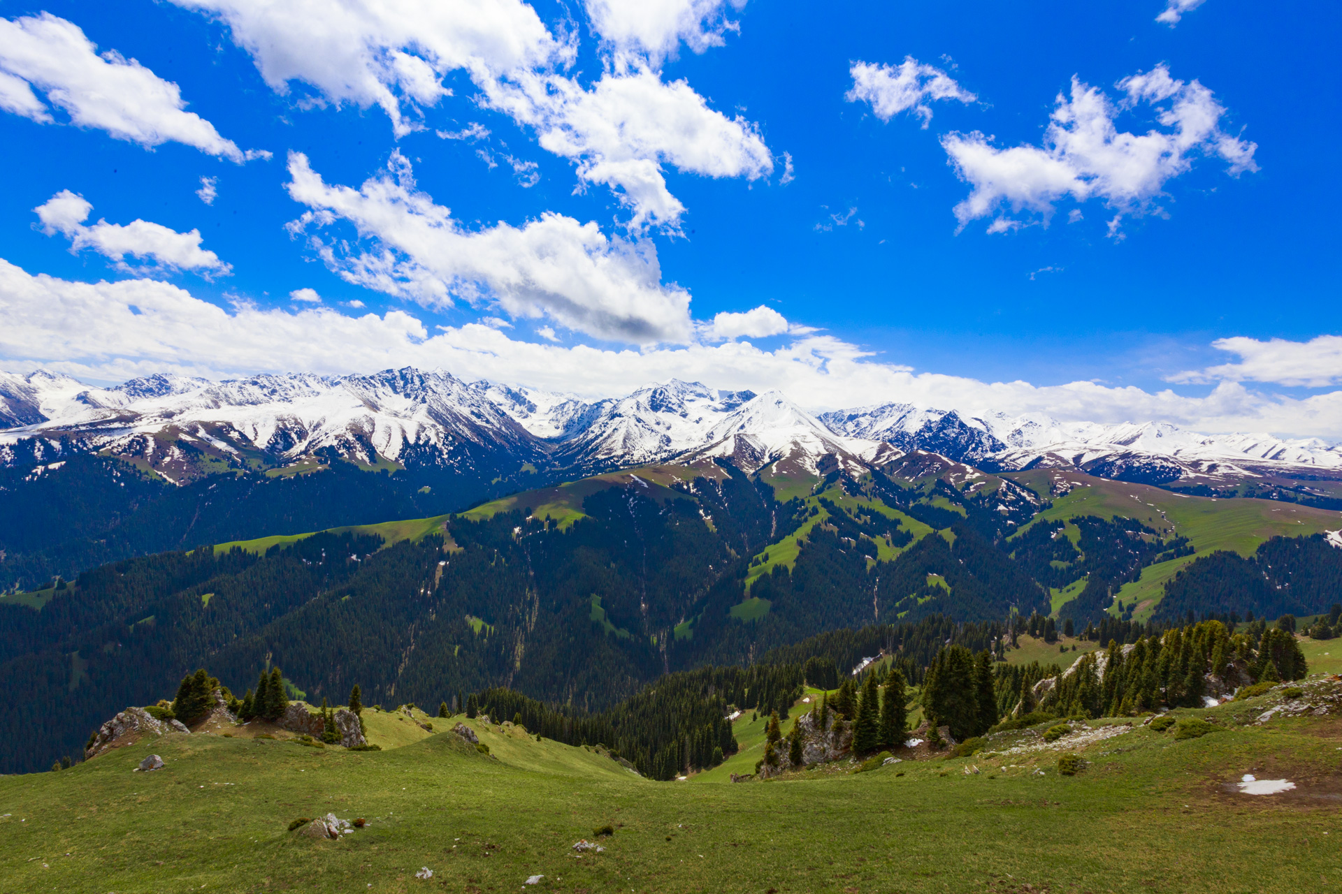 新疆伊犁喀拉峻徒步|1日4季5大草原6天穿越120公里(原创路线攻略 实拍