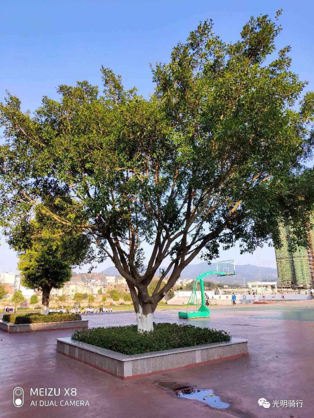 安远三中2019届中考致考生家长的一封信