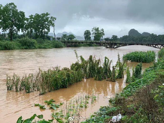 信阳浉河孩子叛逆去什么学校合适