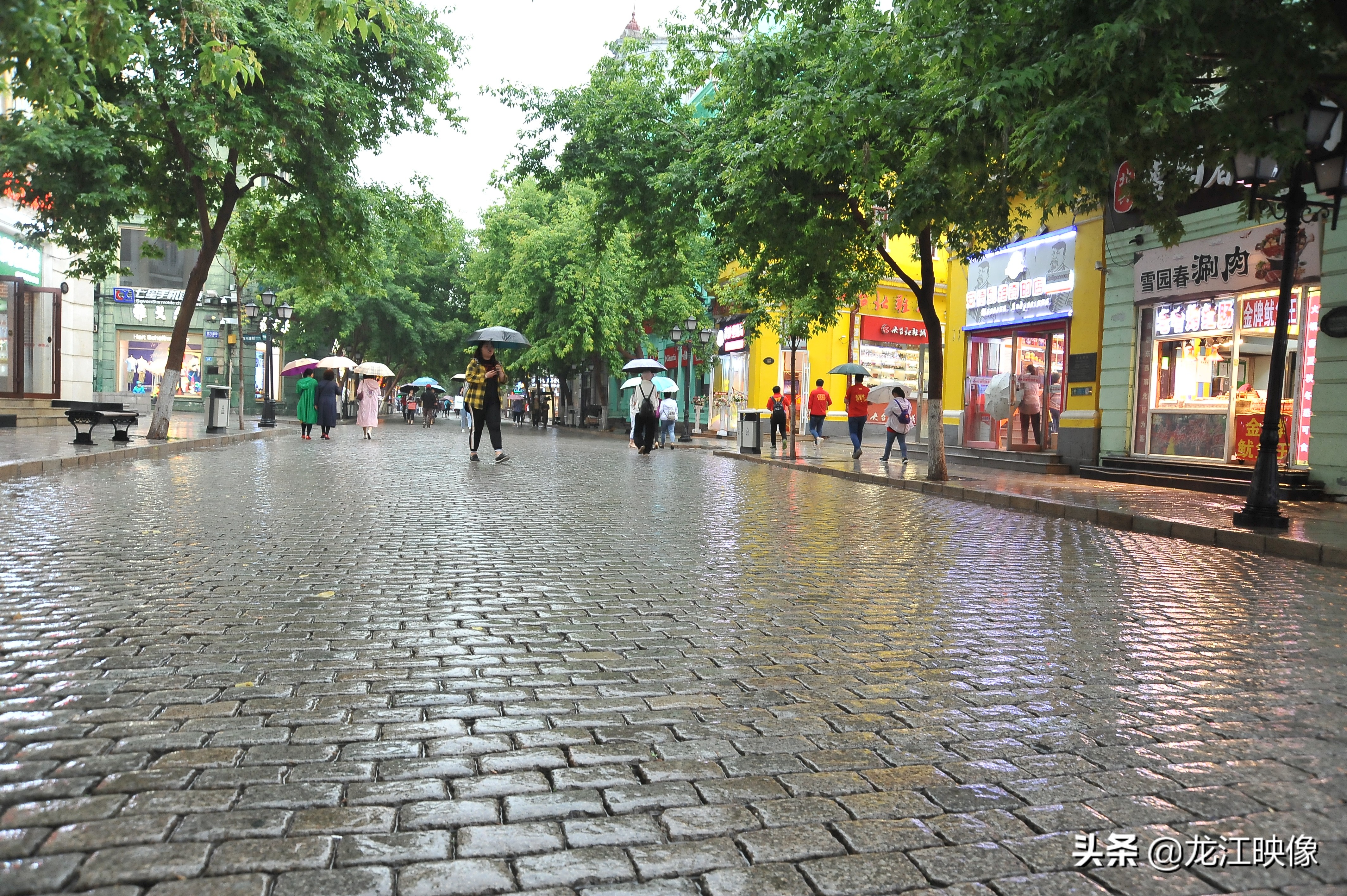 大雨小雨天天下,冰城進入雨季