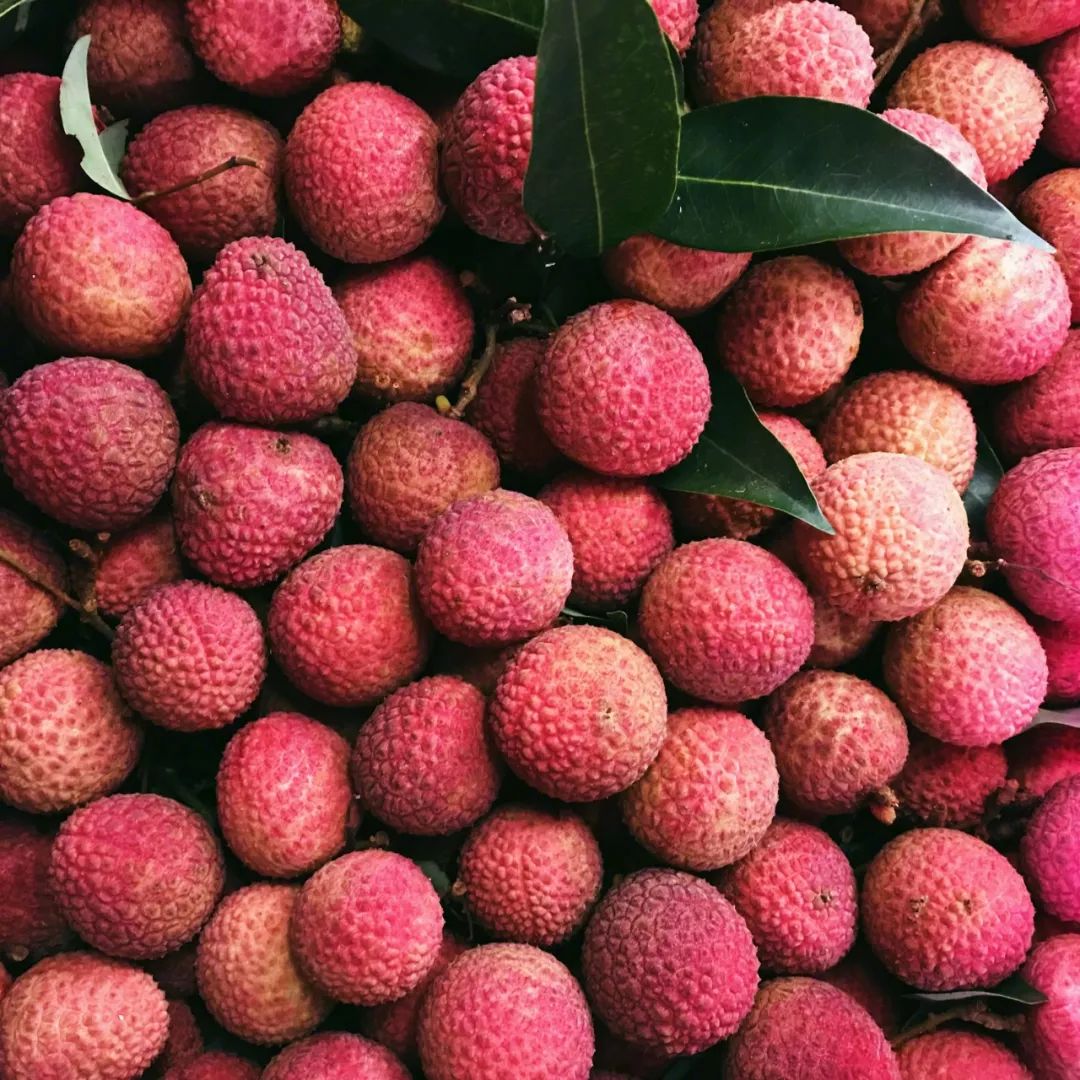 广州人的"荔枝自由",在这里实现_水果