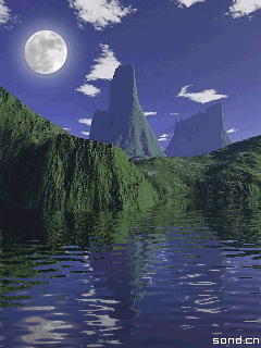 240_320竖版 竖屏gif 动态图 动图