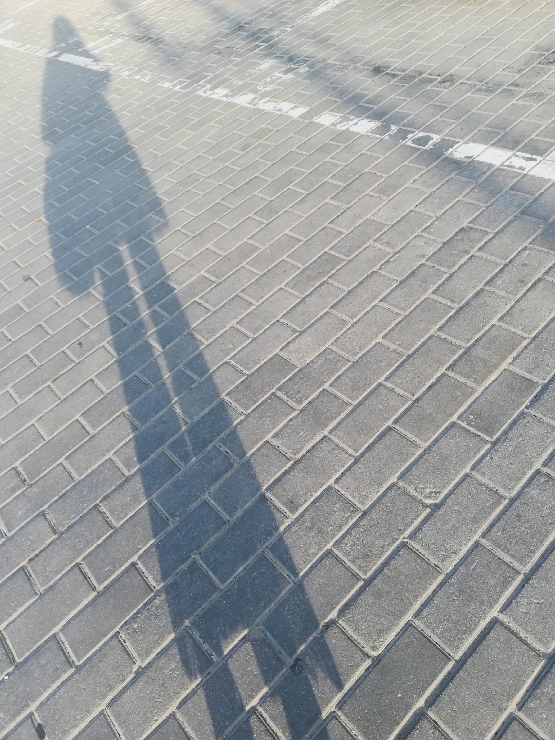 何红雨黄昏一个人的街头