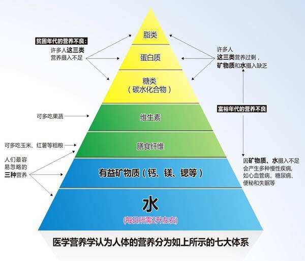 人體的必須因素水解析水的重要性