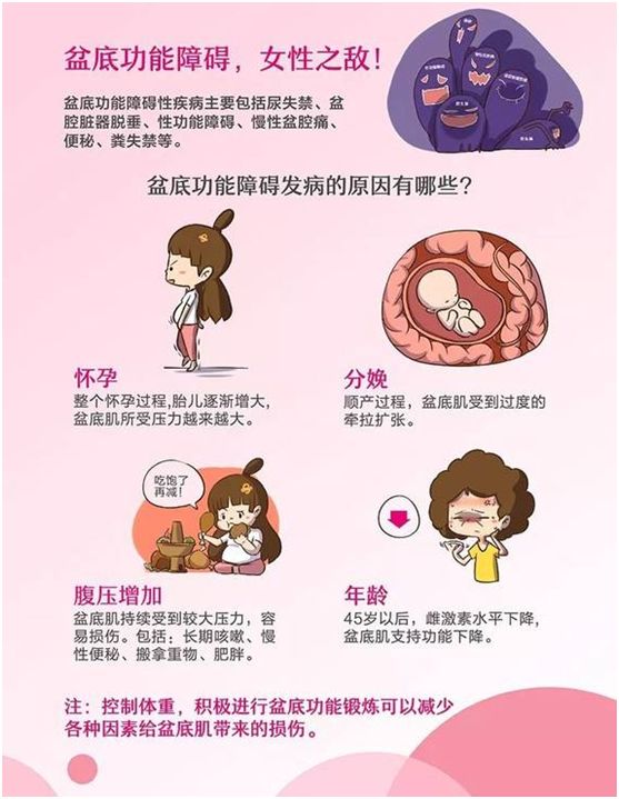 盆底肌闭合丨一胎不修复,二胎损伤更大!