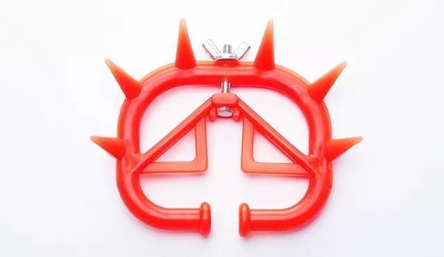 养牛小工具大作用堪称养牛五大法宝