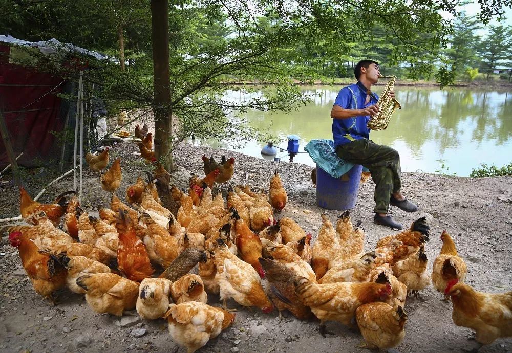 美一起走进森林小镇欣赏民众镇的四时风光