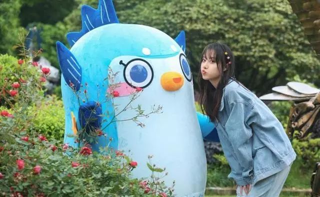 人偶总动员4向往的农村生活来袭这一次龙猫无脸怪都输了