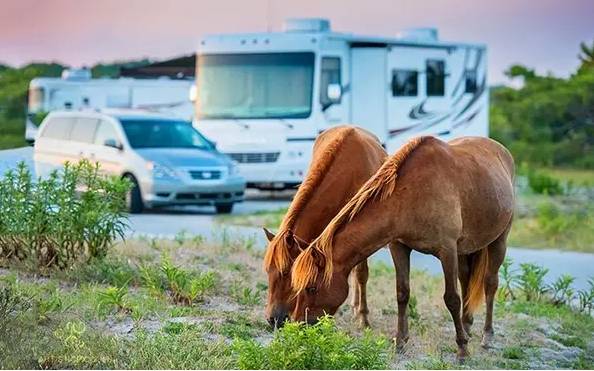 国外越野房车旅行生活 b861f06cd5df453c865ae4050406358c.jpeg