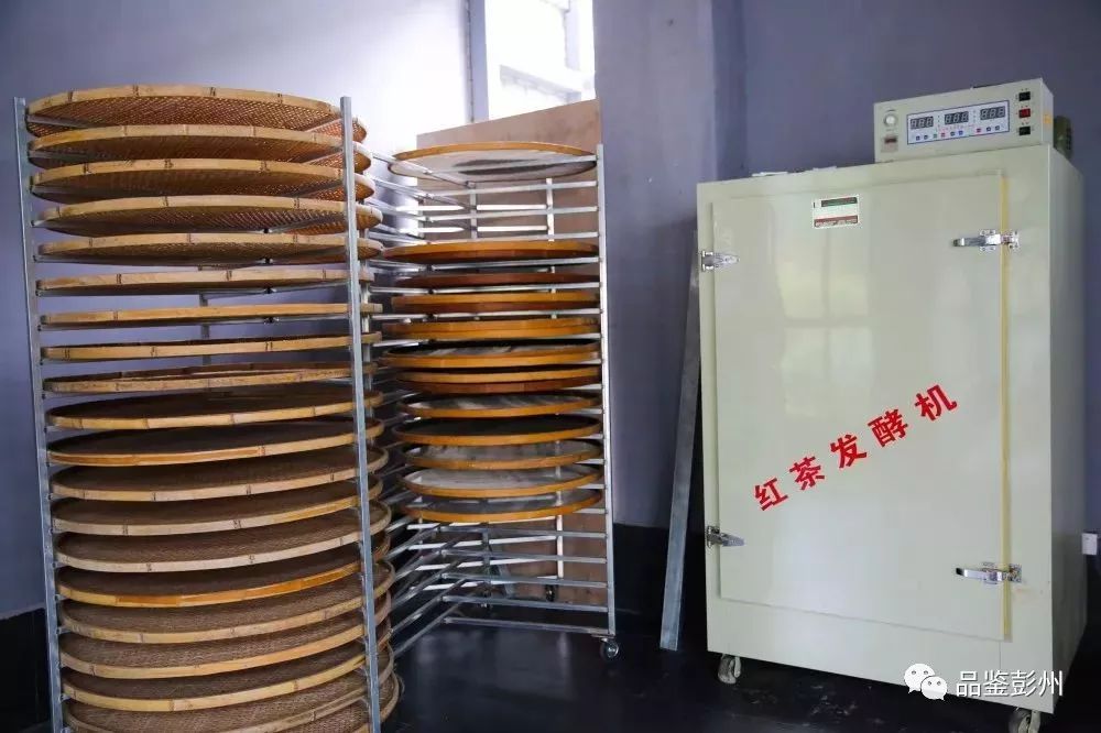 宝山红茶越简单越有味