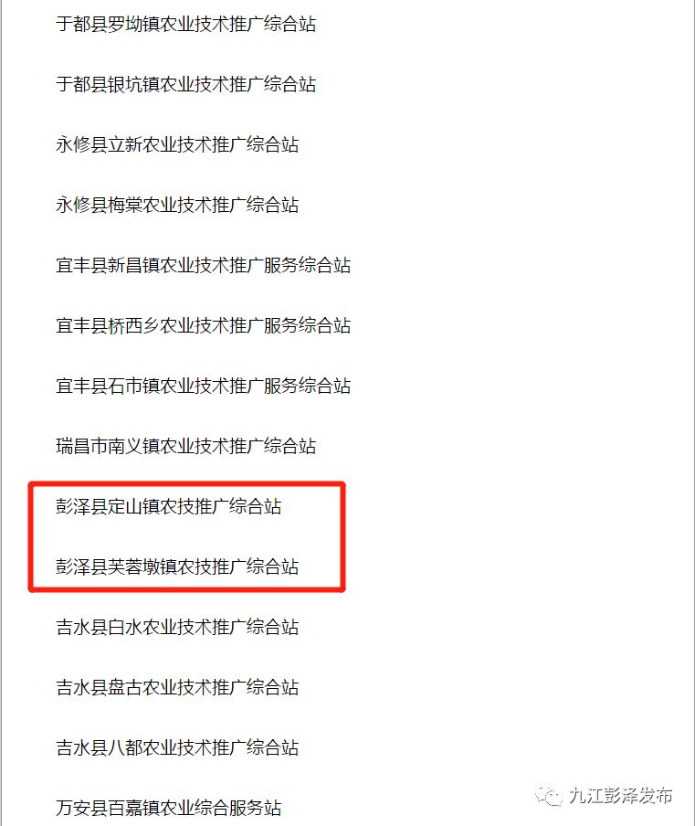 于都网站建设全解析：从企业官网到本地生活平台的数字化跃迁
