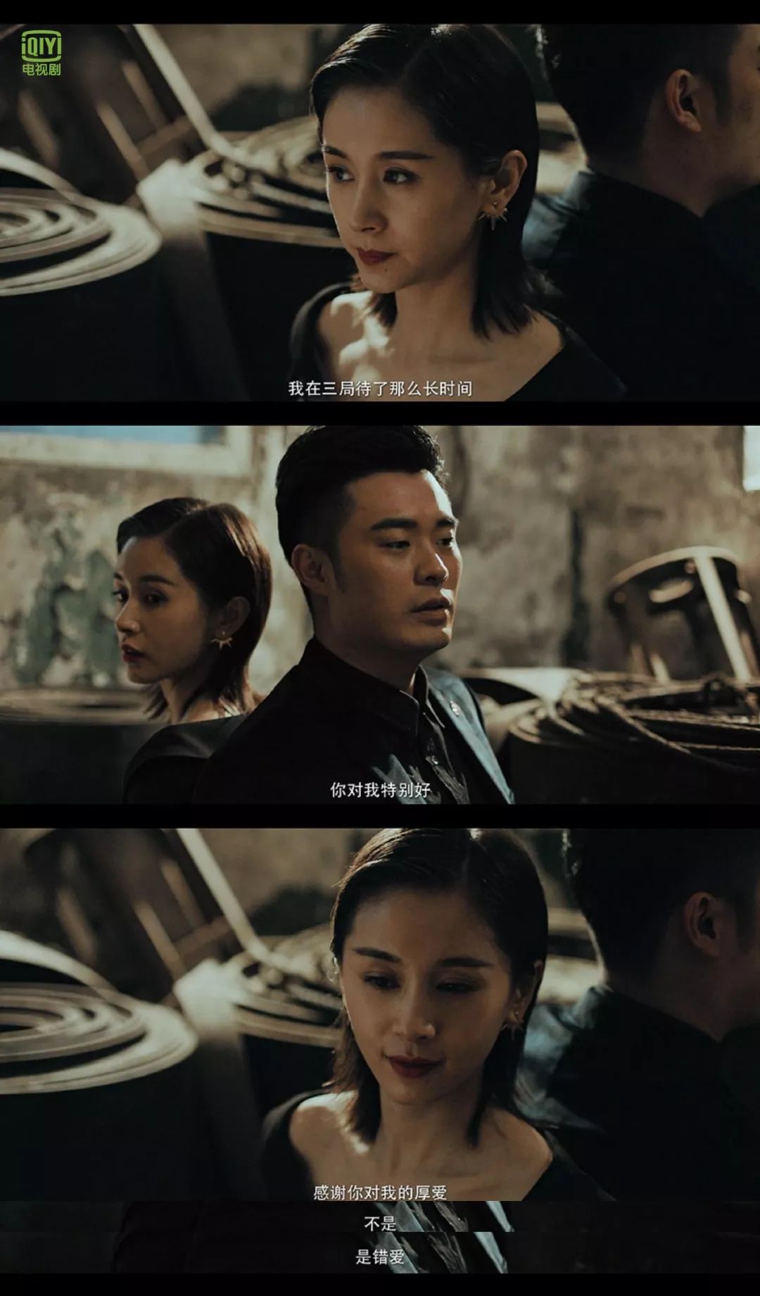 动物管理局陈赫火场深情告白王子文趁势求婚吴探长
