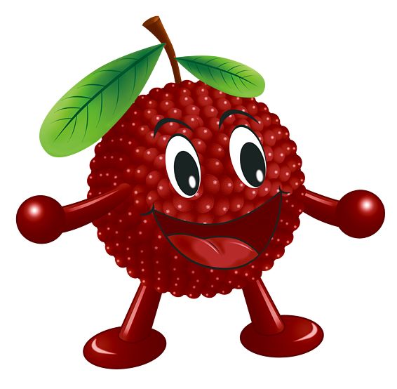 喜大普奔台州杨梅熟啦