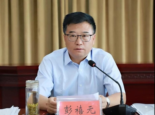 彭禧元在讲话中充分肯定了全县创建省级文明示范县动员大会召开以来我