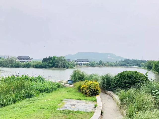 天印湖 来自搜狐网