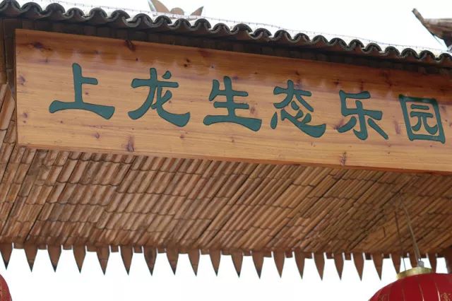 咨询电话 :0577-65997777 上龙生态乐园 旋转组合滑梯,竞速赛道 人工