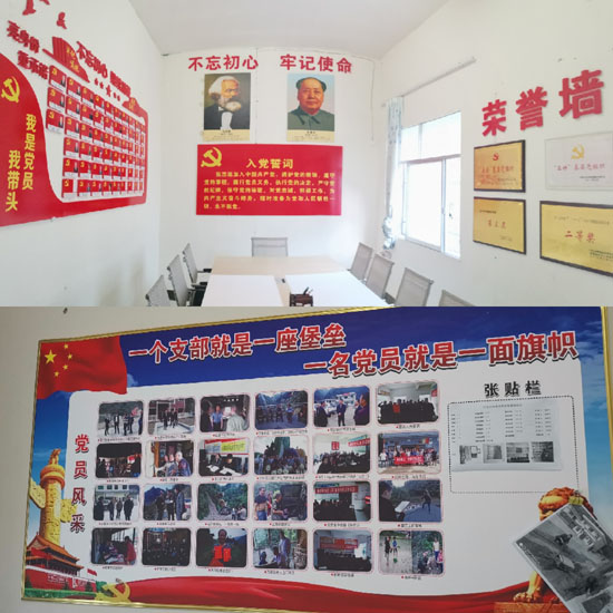 戴党徽,亮身份,树形象"的主题党日活动,引导全体党员立足岗位作贡献