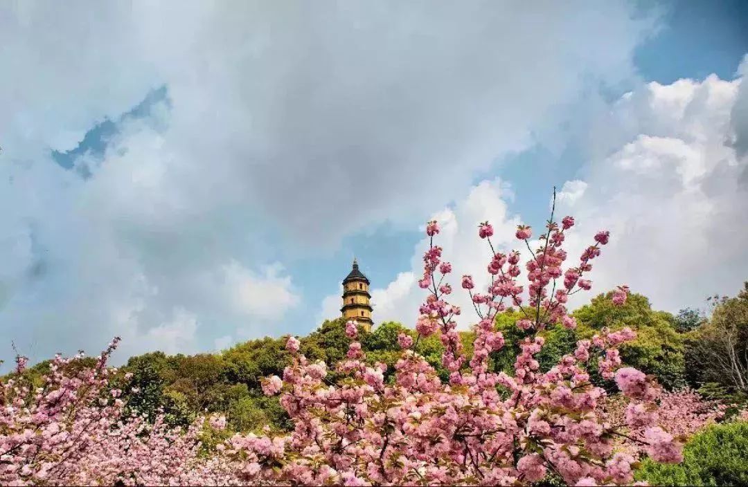 鎮江的寶塔山公園,為什麼又稱