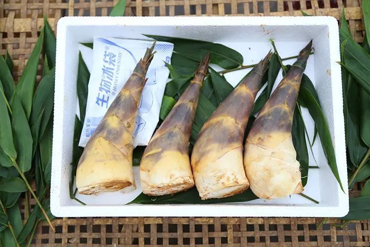 五月品鲜竹笋当造时活动安排开幕式活动时间:6月29日8:30—10:30活动