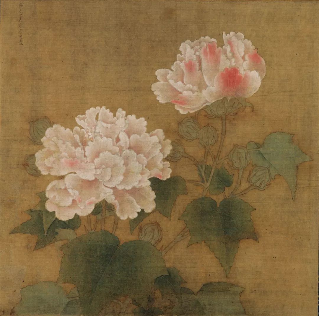 公开课视频合集唐辉建宋代花鸟画技法