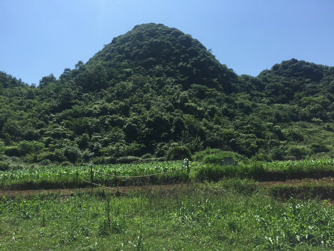 貴州貴陽風水寶地木星貴人穴風水大師王君植燕村尋龍點穴看風水陰宅