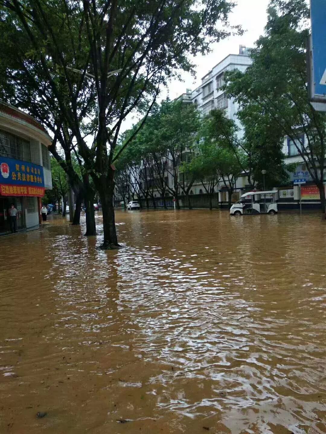 大暴雨賀州汛情緊急各地救災忙