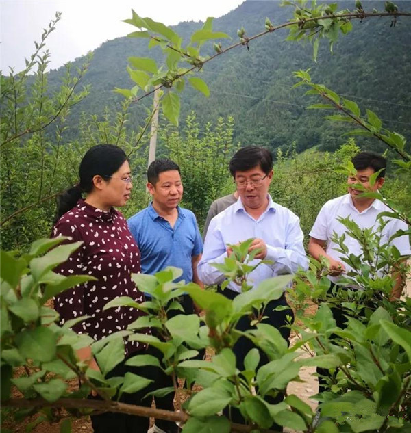 在徐家湾乡召开的座谈反馈会上,乔建厚一行对徐家
