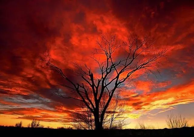 世界顶级摄影师的优秀风光摄影作品