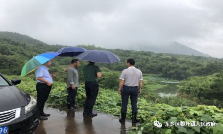 副区长万国辉深入黎圩镇枫山村,黎阳村 调研指导感恩奋进主题教育和