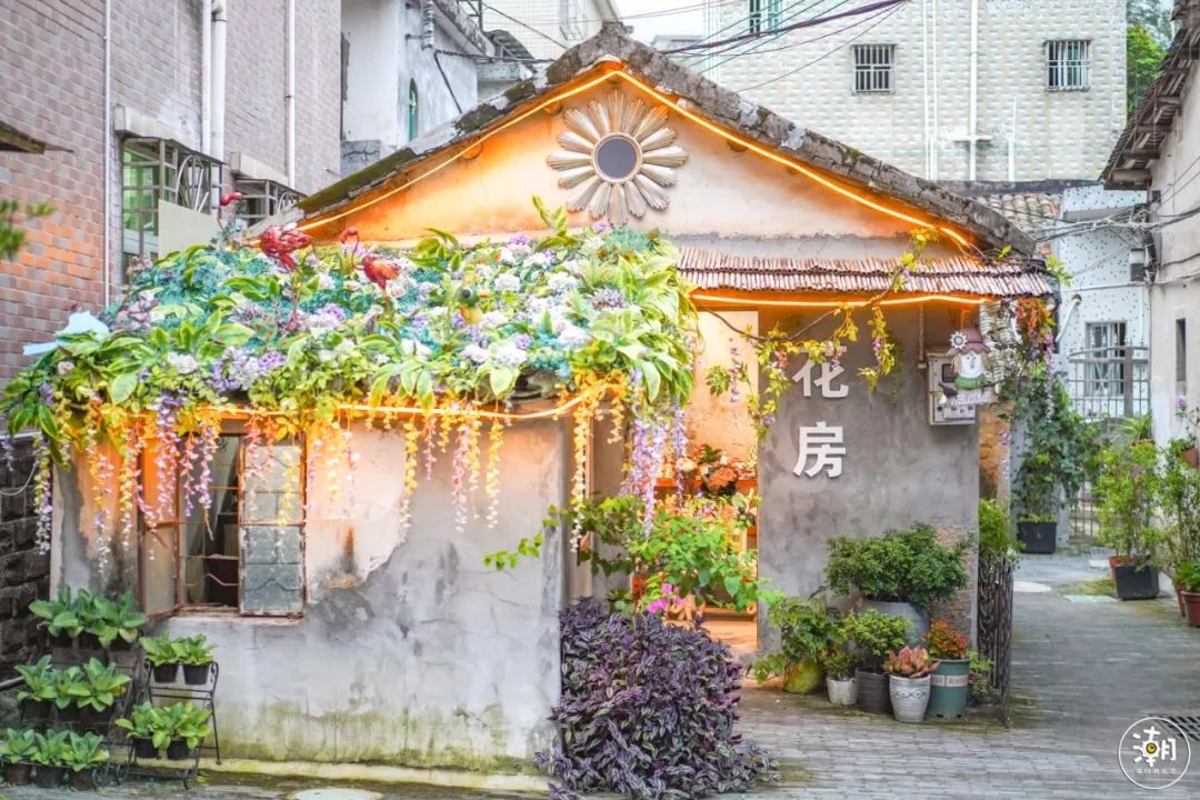 广州附近藏着400岁的客家老村,美爆!竟还有 无人 花房?